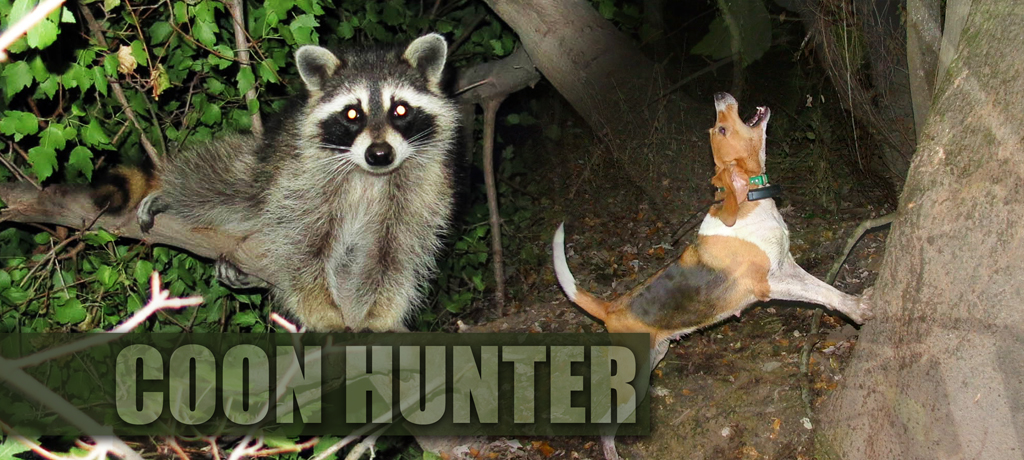 Coon Hunter 3 PROOF